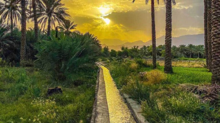 The fascinating nature of Bilad Sayt village in the Sultanate of Oman. (@riyadh_alhinai/Newsflash)