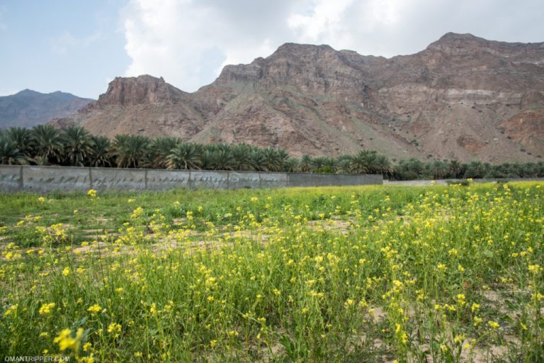 Wadi-Al-Mayh-6-1024x683