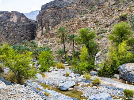 oman-jebel-akhdar-al-batinah-panoramic-view-of-wadi-bani-awf-AMF004847